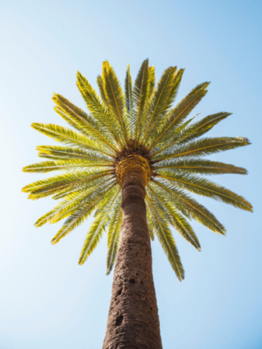 Untitled design 2025 07 29T171616.364 e1753805837635